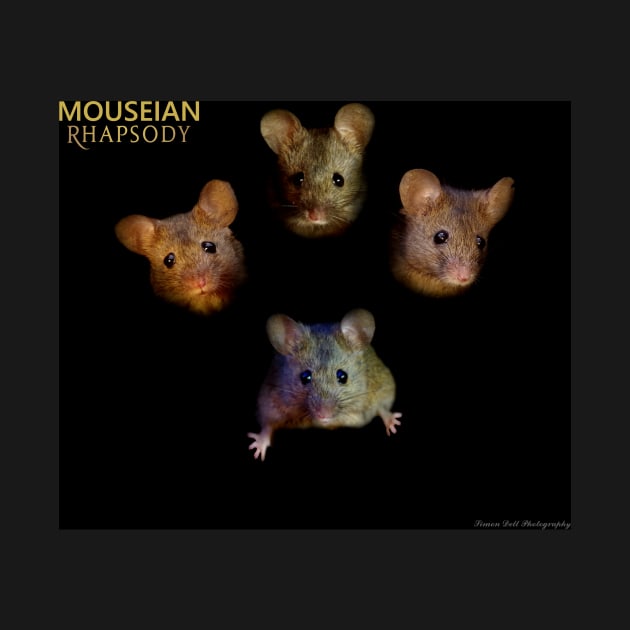 Mouseian Rhapsody - Bohemian Rhapsody by Simon-dell