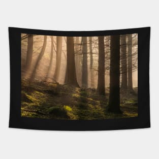 Forest Light Tapestry