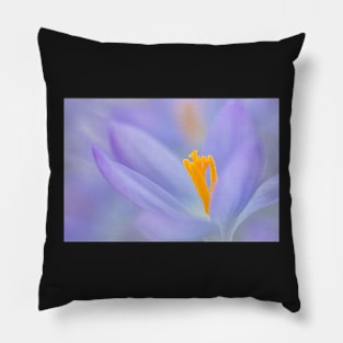 Crocus close-up Pillow