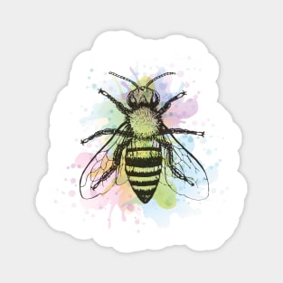 Watercolor Honey Bee Magnet