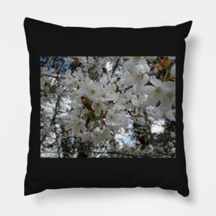 White flowers: Spring time - Flowers, sunshine, happiness and action Pillow