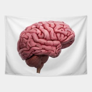 Scientific Human Brain Study Tapestry