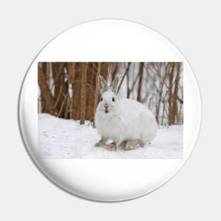 Snowshoe Hare Pin