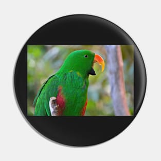 Parrot Pin