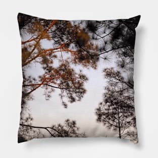 early morning sunrise in the forest Pillow