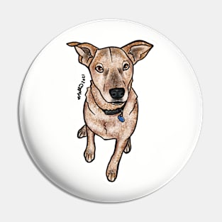 Mac — Dogs of Redstone, Colorado Pin