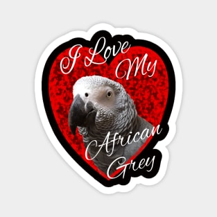 I Love My African Grey Parrot Magnet