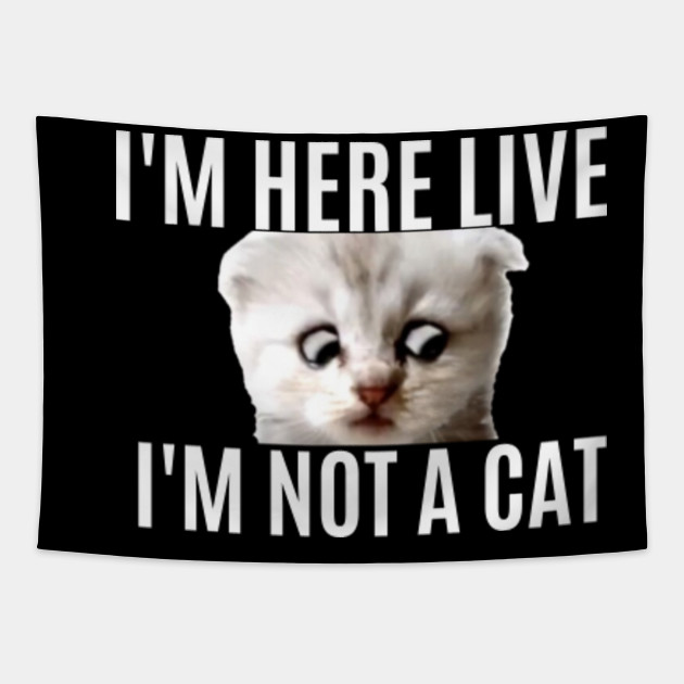 M Here Live I M Not A Cat Zoom Meme Zoom Lawyer Judge Humor Gifts Im Here Live Im Not A Cat Zoom Meme Tapestry Teepublic M Here Live I M Not A Cat Zoom Meme Zoom Lawyer Judge Humor Gifts Im Here Live Im Not A Cat Zoom Meme Tapestry Teepublic