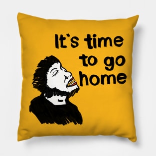 It's time to go home! Pillow