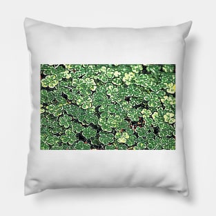 Paddy’s Shamrock Pillow