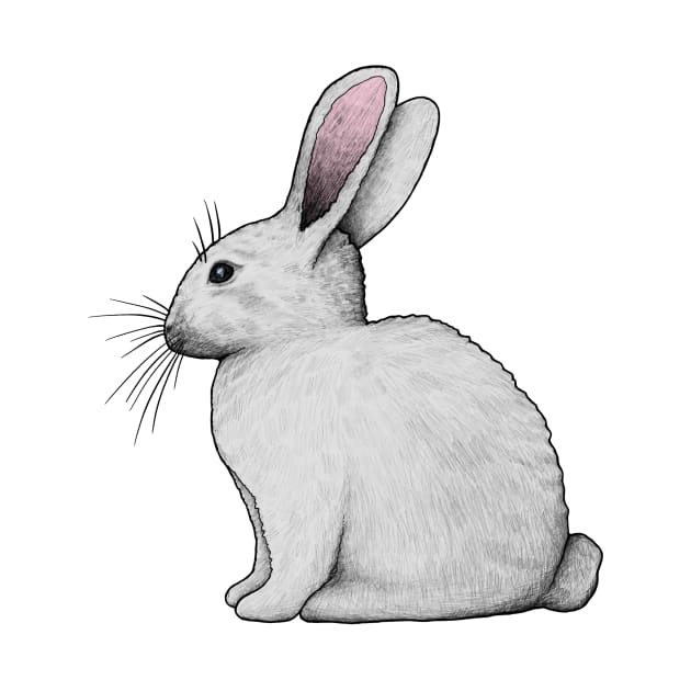 Rabbit by Akman