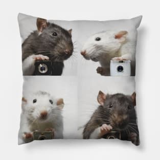 Say Cheese–Rat Photographers Pillow