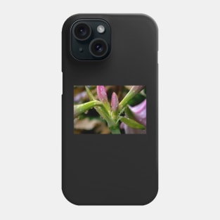 fresh flower bud Phone Case