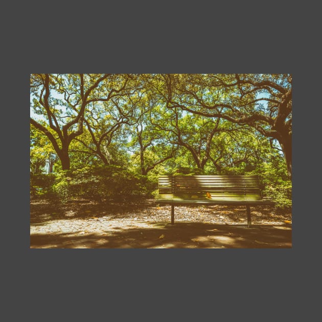 Pulaski Square Bench Savannah by Gestalt Imagery