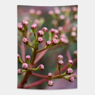 Button flowers Tapestry