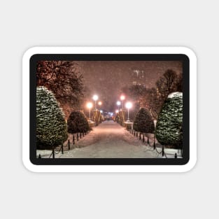 Snow Storm in the Boston Public Garden MA Massachusetts Magnet