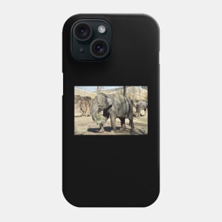 Asian Elephant Phone Case