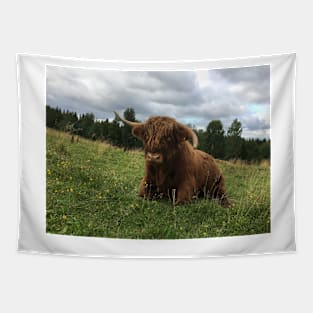 Scottish Highland Cattle Bull 1513 Tapestry