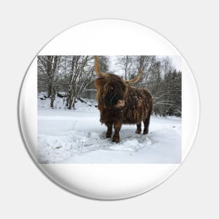 Scottish Highland Cattle Cow 2304 Pin