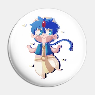 Aladdin. Pin