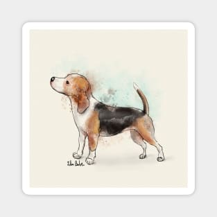 Watercolor Drawing of a Cute Beagle Magnet