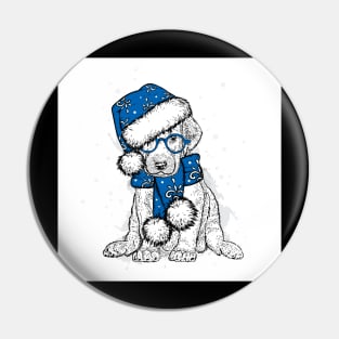 beautiful-dog-christmas-hat-new-years-clothes Pin