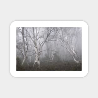 Trees In The Mist Magnet