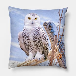 Snowy Owl in Winter Pillow