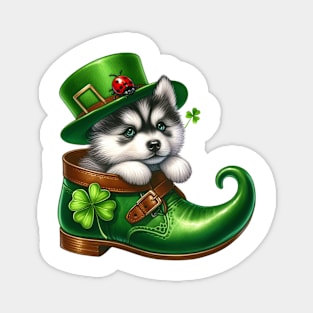 Siberian Husky Dog Shoes For Patricks Day Magnet