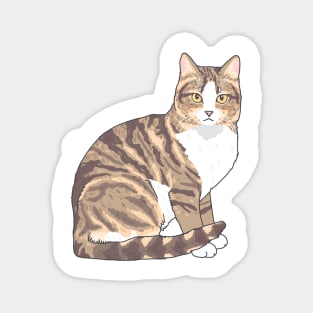 Brown and White Tabby Cat Magnet