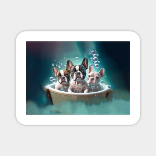French Bulldog Pups in a Tub Magnet