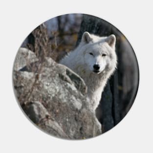 Arctic Wolf Pin