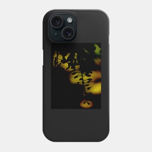 Arabian Nights Phone Case