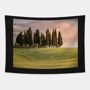 Group of cypress trees in Tuscan landscape Tapestry