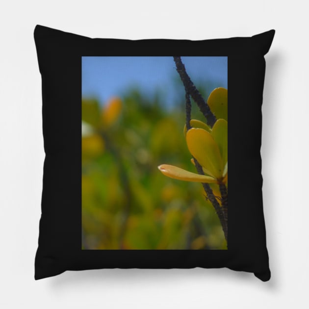 Beach Mangrove 3 Pillow by Fitra Design