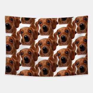 Cascade of Dachshund Puppies Tapestry