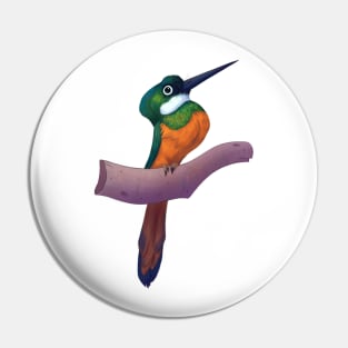 Rufous-tailed jacamar Pin