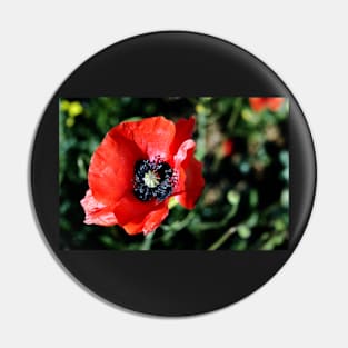 Red Poppy Flower Pin