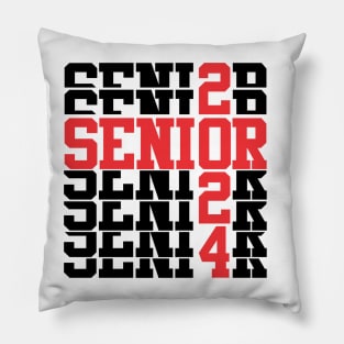 Senior 2024 Pillow