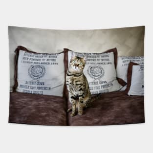 Savannah Cat 1 / Swiss Artwork Photography Tapestry