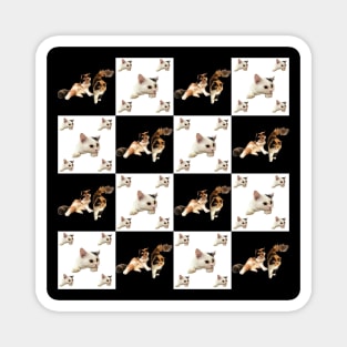 cat pattern on black and white square Magnet