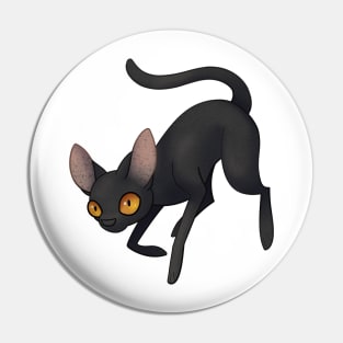 Cozy Bombay Cat Pin