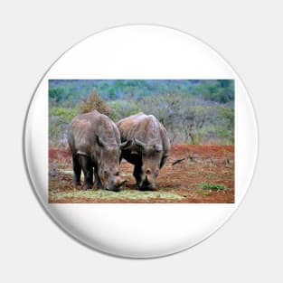 White Rhinoceros Zulu Nyala Game Reserve South Africa Pin