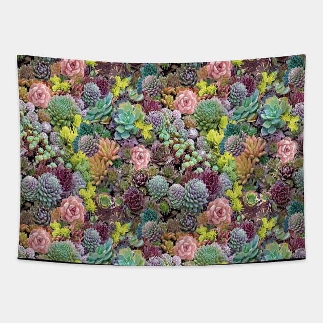 Succulents Pink Tapestry by My Petal Press