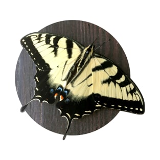 Yellow Swallowtail T-Shirt