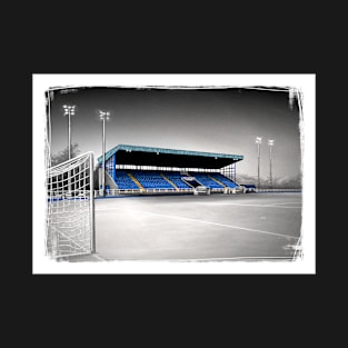 The RSC - Waterford FC - League of Ireland Football Artwork T-Shirt