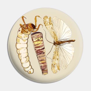 Brachicentridae Caddisfly Pin