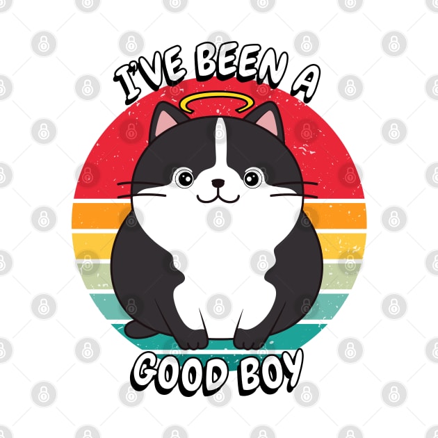 Cute fat cat is a Good Boy by Pet Station