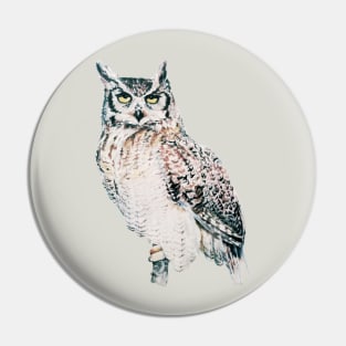 Great Horned Owl - watercolour bird portrait Pin