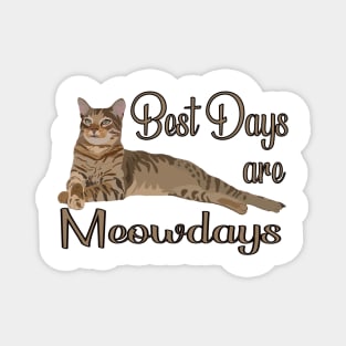 Best Days Are Meowdays Magnet